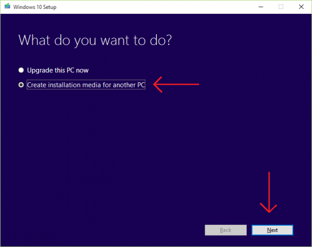 Download Windows 10 ISO Screenshot 2