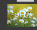 Top 8 Free Online Image Editors with Chrome Extensions