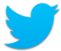 Twitter No Longer Displays Embedded Tweets on the Web