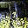  32x32 pixels icon