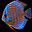 Aquarium Fishes Free Screensaver 1.0.1 32x32 pixels icon