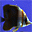 Aquatic Life 3D Screensaver 1.01.2 32x32 pixels icon
