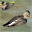  32x32 pixels icon