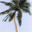  32x32 pixels icon