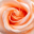  32x32 pixels icon