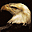  32x32 pixels icon