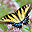 32x32 pixels icon