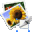 Crop Multiple Images At Once Software 7.0 32x32 pixels icon
