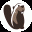 DBeaver 32x32 pixels icon