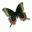  32x32 pixels icon