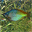  32x32 pixels icon