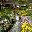  32x32 pixels icon