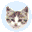  32x32 pixels icon
