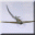 Flight for Fight 1.15.172 32x32 pixels icon