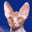  32x32 pixels icon