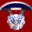  32x32 pixels icon