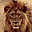  32x32 pixels icon