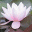  32x32 pixels icon
