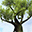  32x32 pixels icon