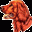  32x32 pixels icon