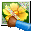 Neat Image 7.0 32x32 pixels icon