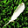 Nice Feathers Free Screensaver 1.0 32x32 pixels icon