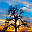  32x32 pixels icon