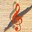 Pizzicato Light 3.4 32x32 pixels icon