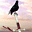  32x32 pixels icon