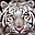  32x32 pixels icon