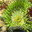  32x32 pixels icon