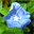  32x32 pixels icon