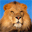  32x32 pixels icon