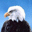  32x32 pixels icon