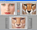 Abrosoft FantaMorph Pro Screenshot 0