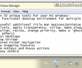 Actual Window Manager Screenshot 0