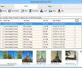 NoClone Home - Duplicate File Finder Screenshot 0