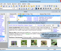 Personal Knowbase information manager Screenshot 0