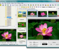 FastStone Image Viewer Screenshot 0