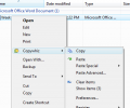 Copywhiz Screenshot 0