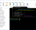 MobaXterm Screenshot 0