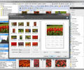 Zoner Photo Studio Home Screenshot 0