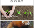 Microsoft updates Sway with embedding and other extras