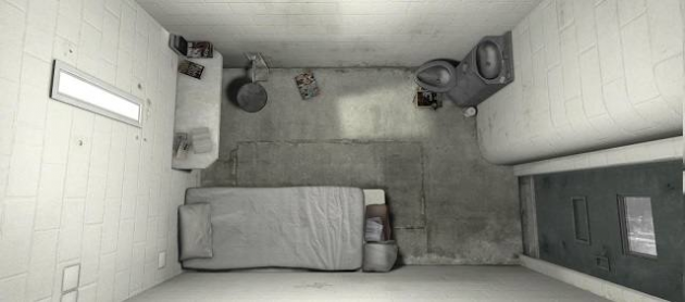 1 large Guardian VR The Guardians App for Solitary Confinement