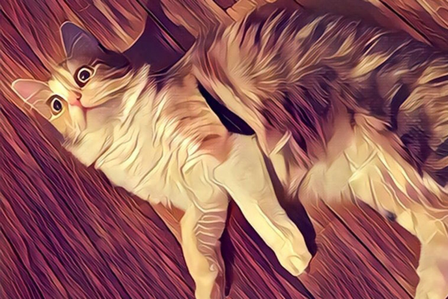 6 large Prisma The New App That Can Turn Your Photos Into Paintings