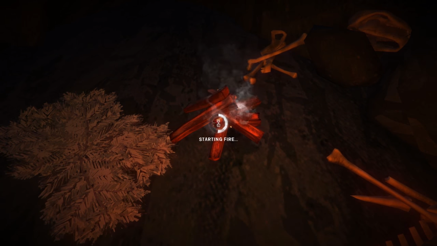 Game Review: Survive in the cold wilderness in The Long Dark PS4, Xbox One, PC