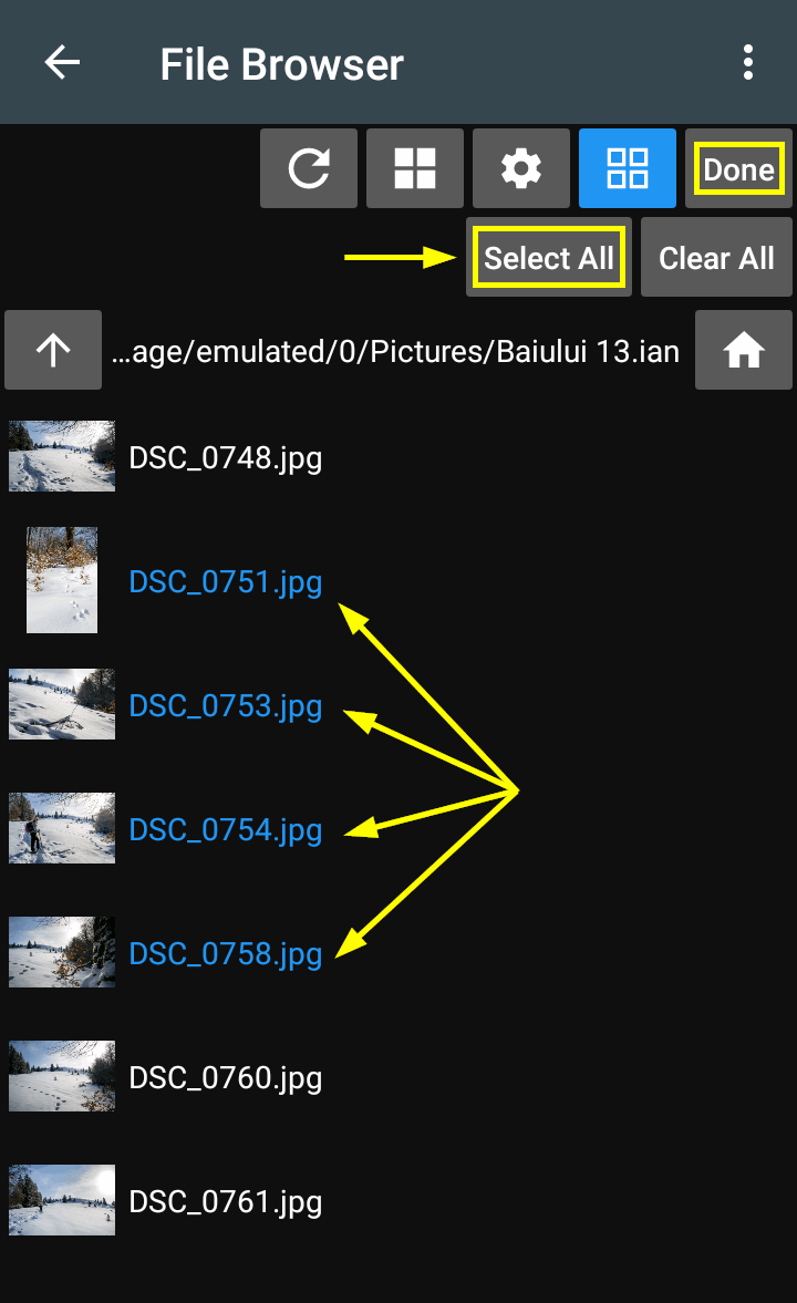 How to Convert WEBP Images to JPG, GIF, or PNG