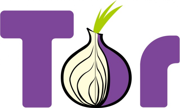 1 large Lizard Squad Takes Aim At Tor Project Anonymous Browsing Network
