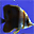 3D AquaLife Screensaver Icon