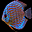 Aquarium Fishes Free Screensaver 2.0.3 32x32 pixels icon